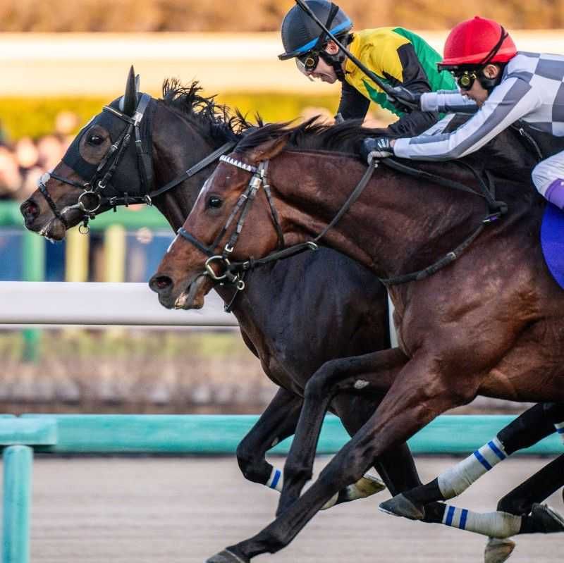 ユーザーアイコン