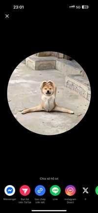 高木^_^