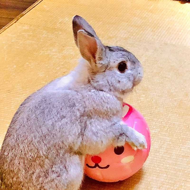 功吉（こうよ）
