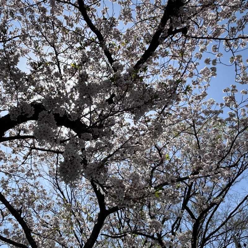 そら