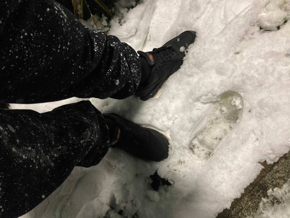 大活躍☃️
#2022初雪