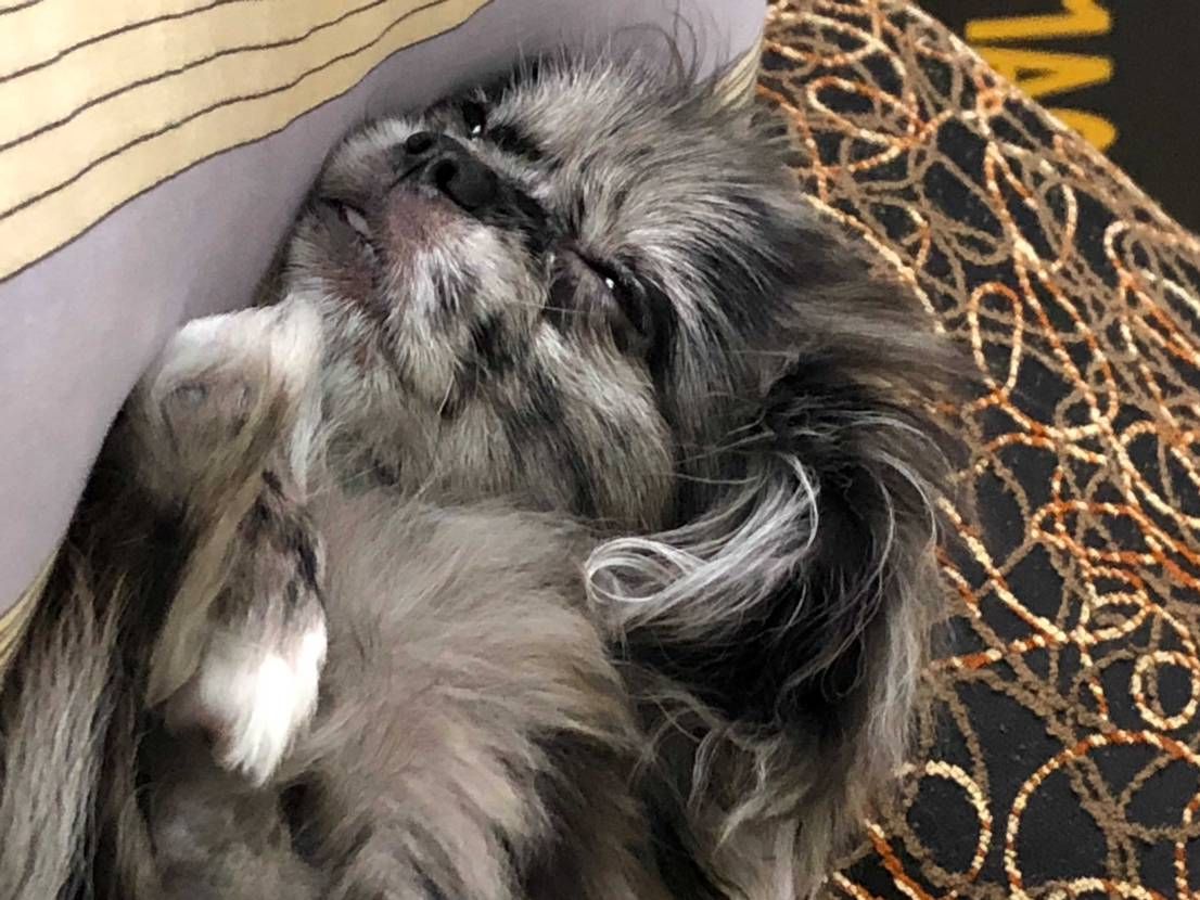 ひっ…一晩中考えてもまとまらん！
(；ﾟдﾟ)