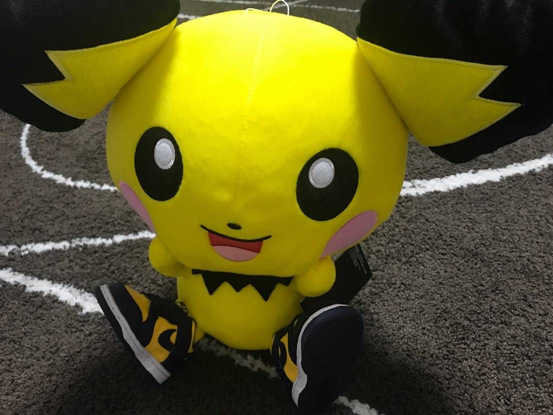 ピチューに履かせてみました❣️