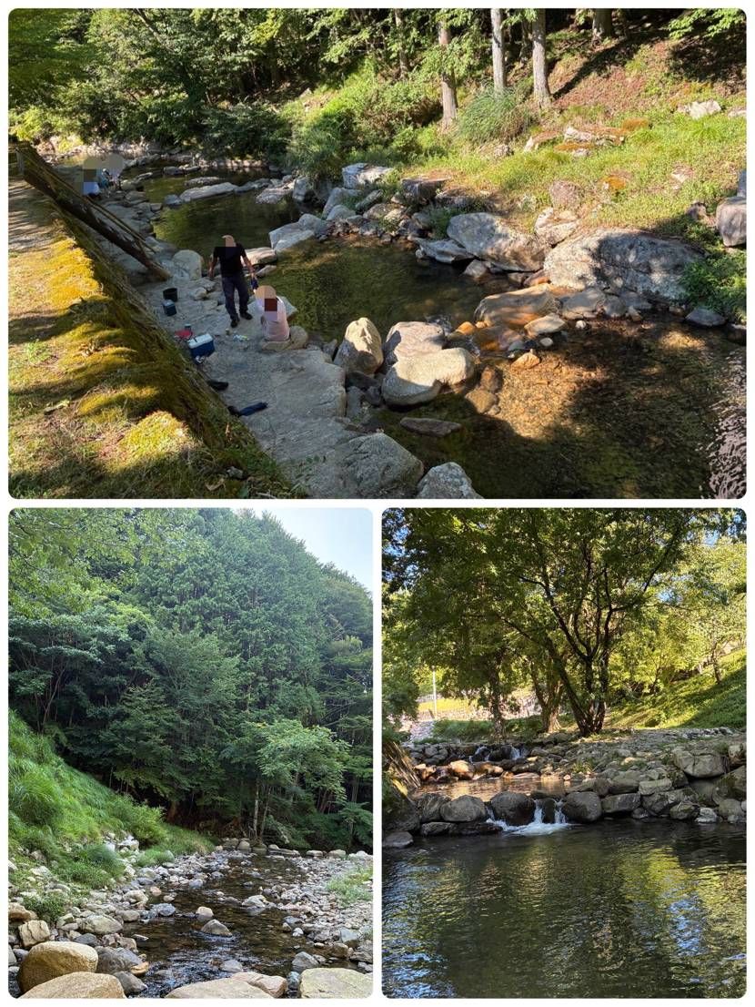 カラッと晴れたんでキャンプの下見に🌳
まだ行った事ない良さげな場所を発見しまし