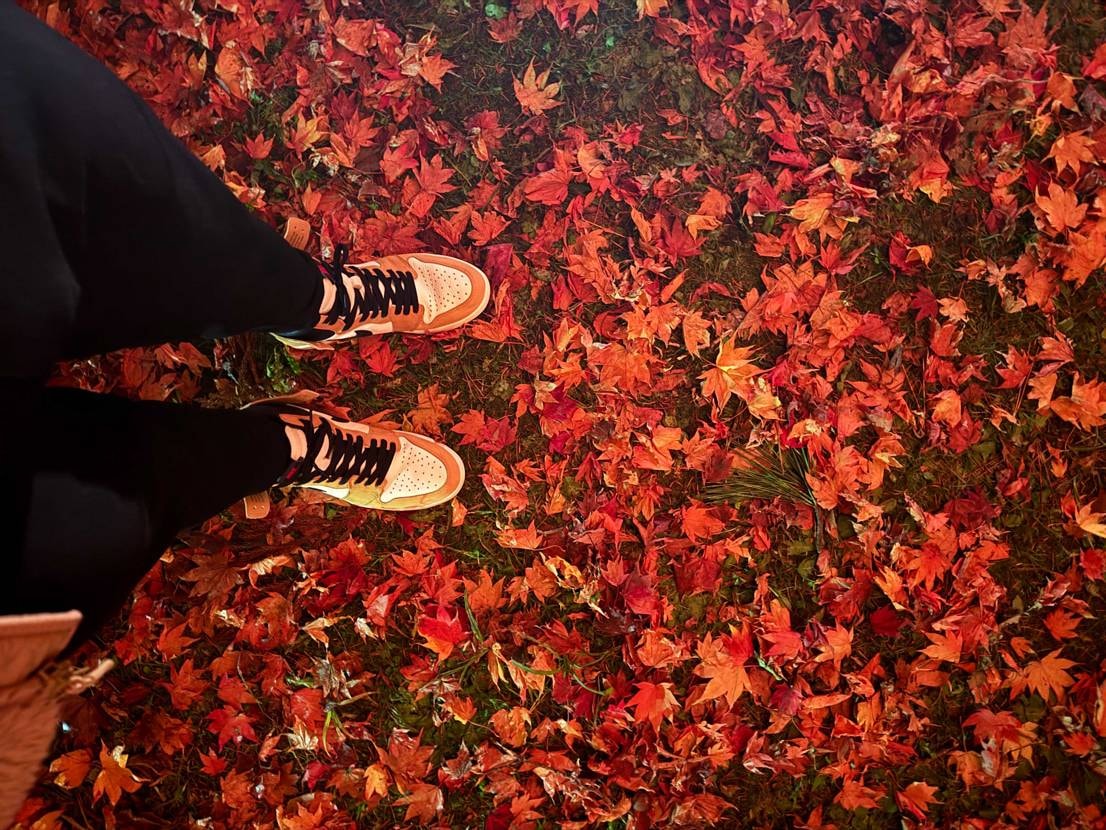 紅葉🍁とルーキー👟
寒かったけどどっちも最高のカラー☺️