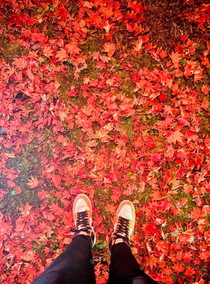 紅葉🍁とルーキー👟
寒かったけどどっちも最高のカラー☺️