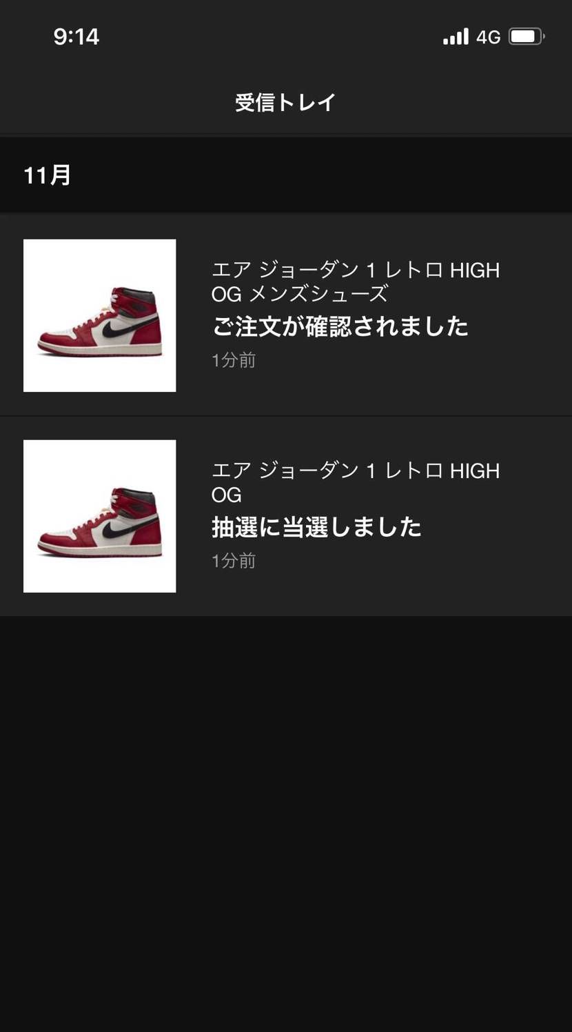 キタ〜🙌