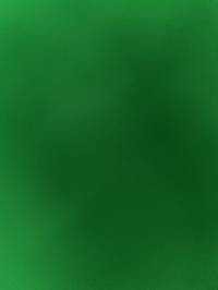 Lil Green