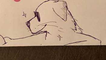 だーうー(出品者)