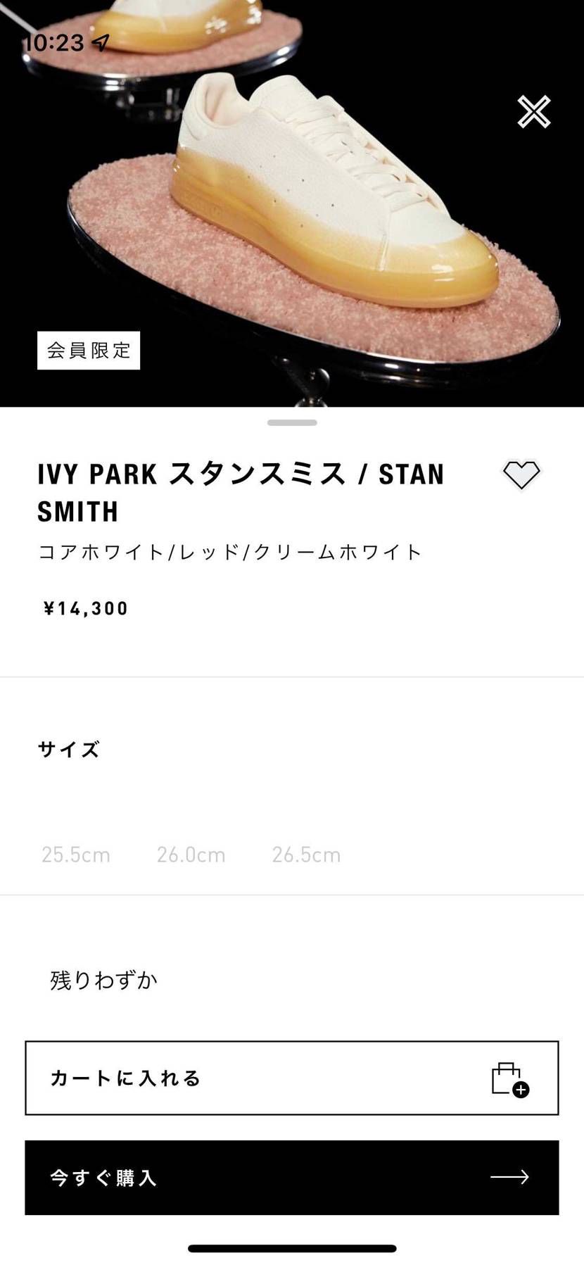 そもそもサイズがなかった