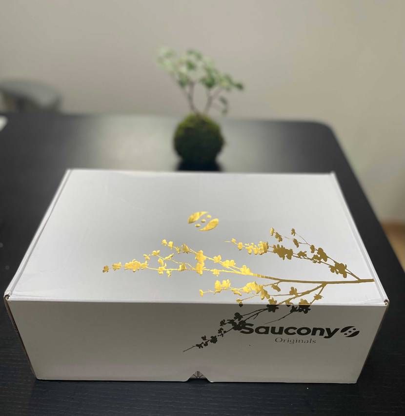 シューレースがまず素晴らしい。
インソールを刷新？(左が金