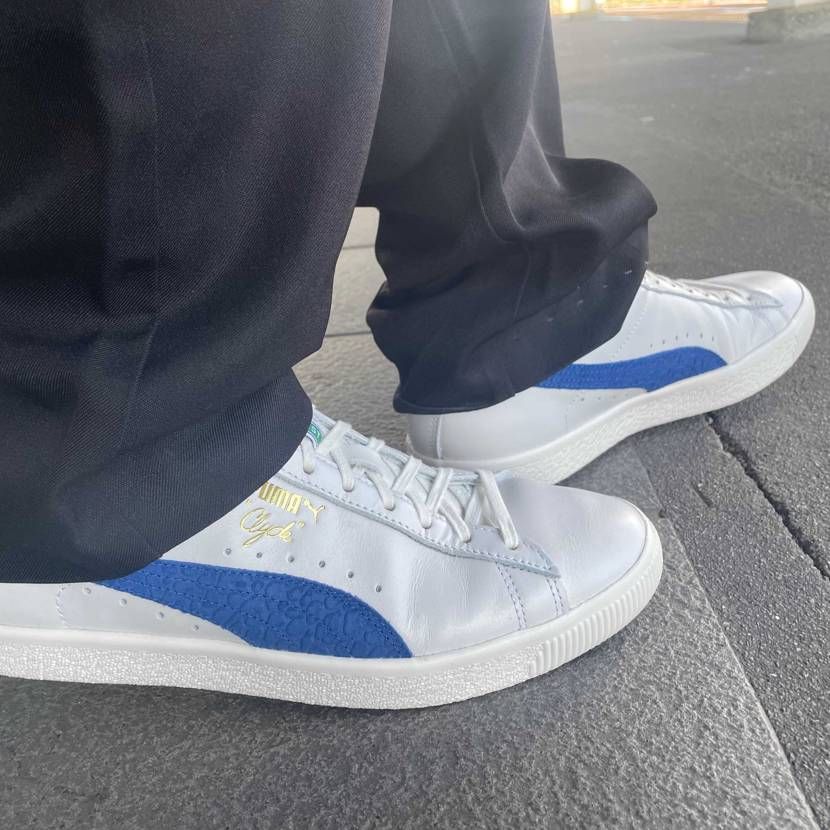 今日
シワの入り方いい感じ