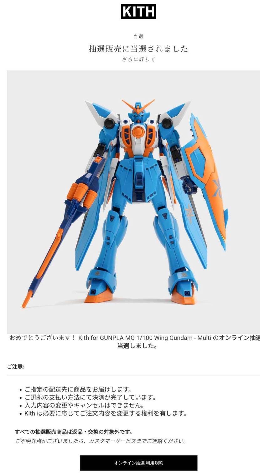 こちらも、どちらも当選。