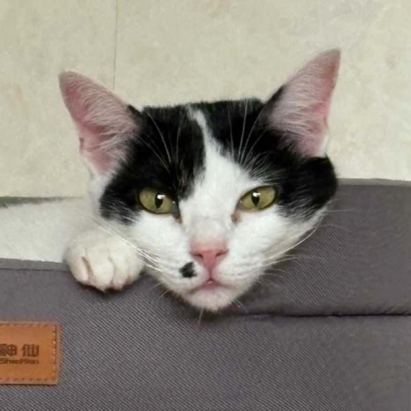 にゃ