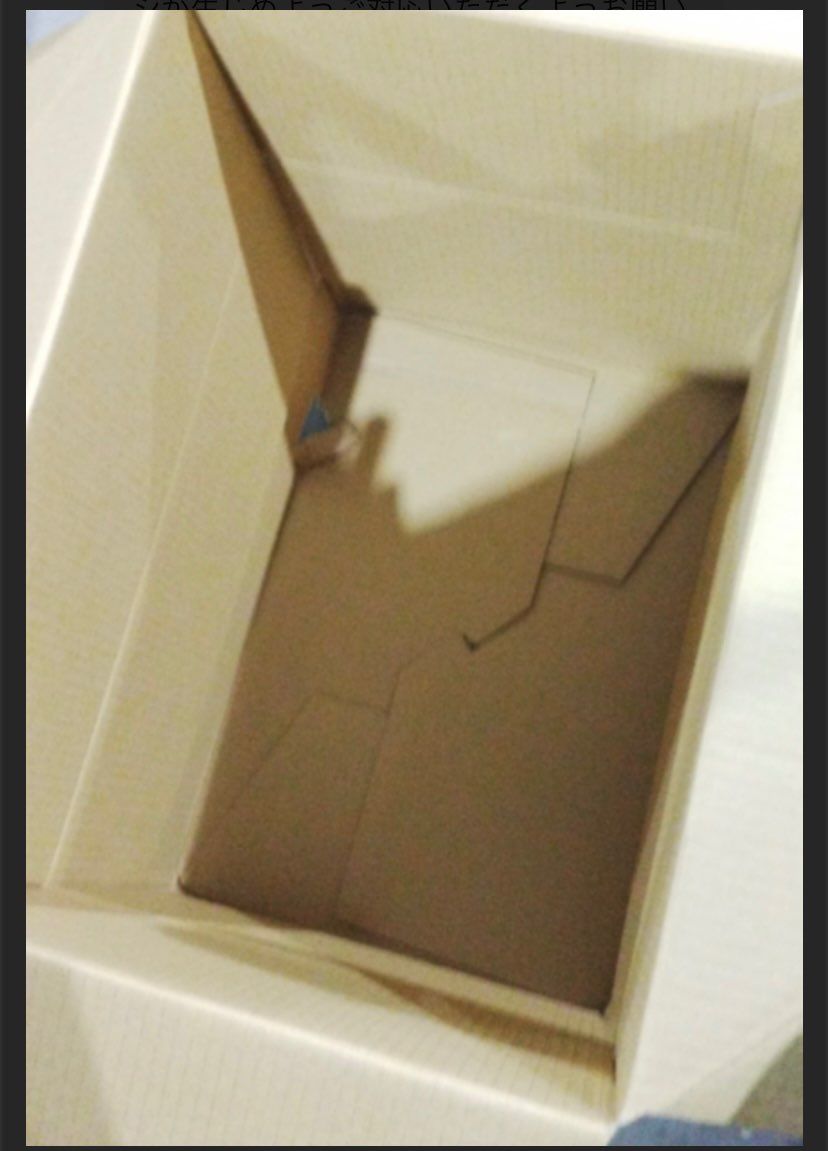 続報です。
紙の緩衝材が入っていなかったので、補償はできな