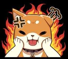 柴りく(出品者)