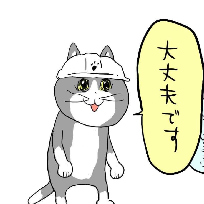 コレクション整理(出品者)