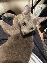 tzhk