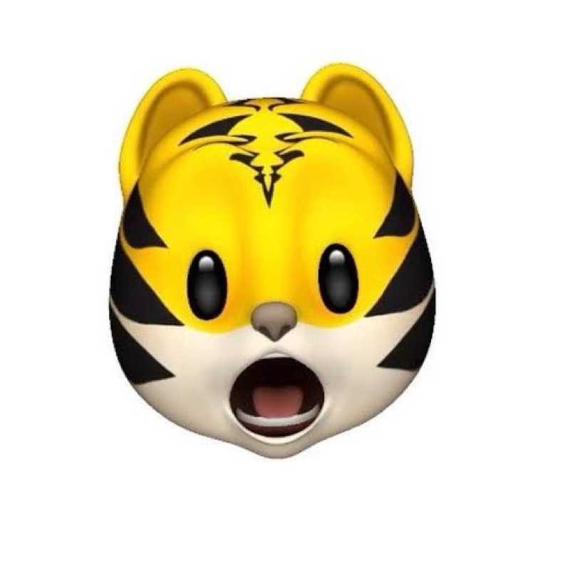 🐯