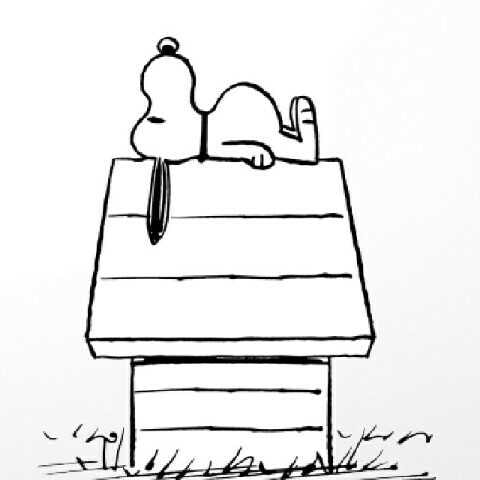 ユーザーアイコン