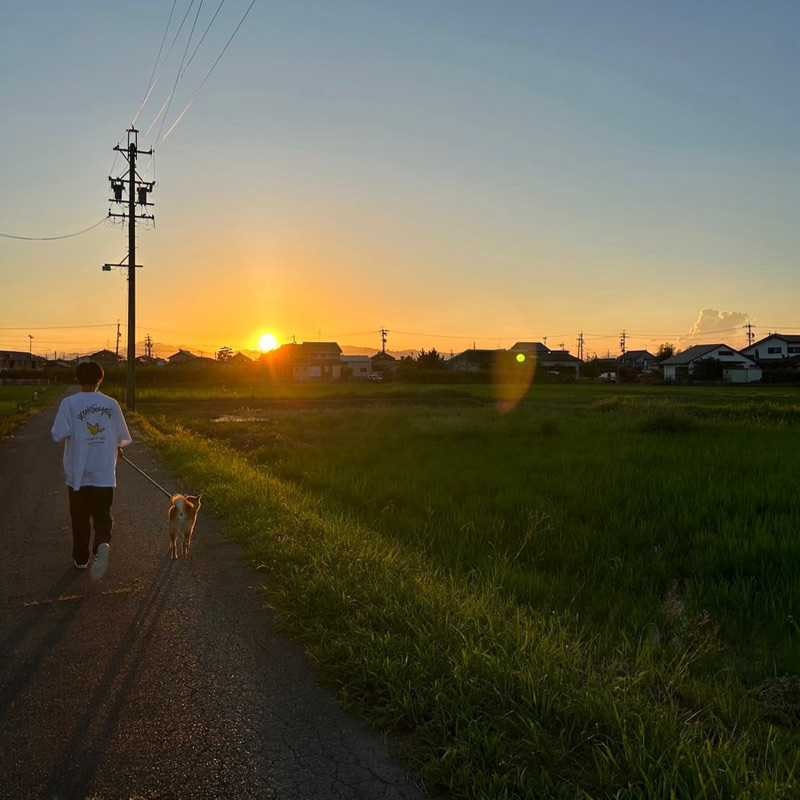 りゅうせい