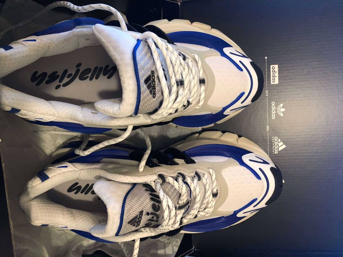 さてさて、今年度最初のジェリーフィッシュが一旦落ち着いたので