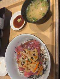 タヌキ