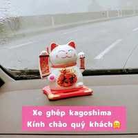 Duy Hoang