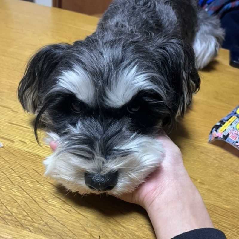 よしひろ