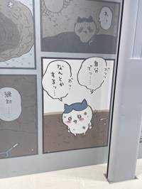 ねこ