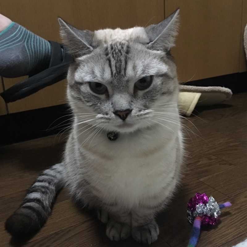 渡辺携帯