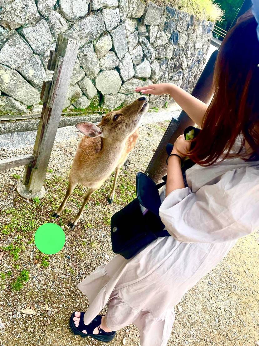 プレゼントしたココ、
とても喜んでくれました。
有難うス
