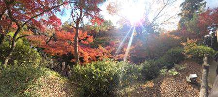 田村