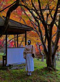 shiawase