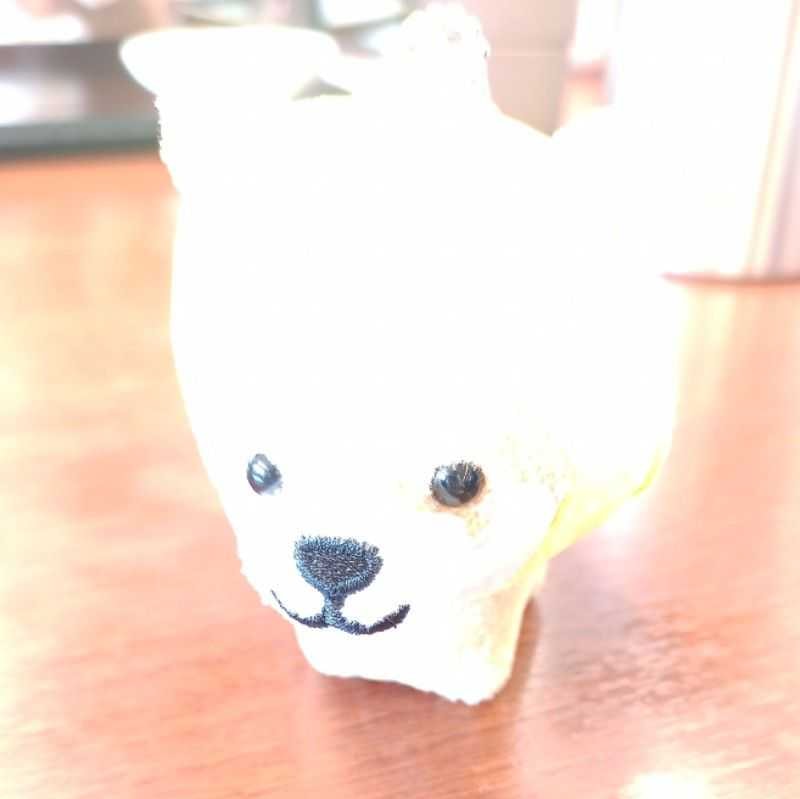 橘