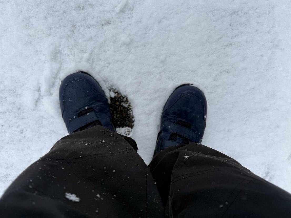 先日の雪の日の事ですが…🌨️☃️

安心安全なランバード