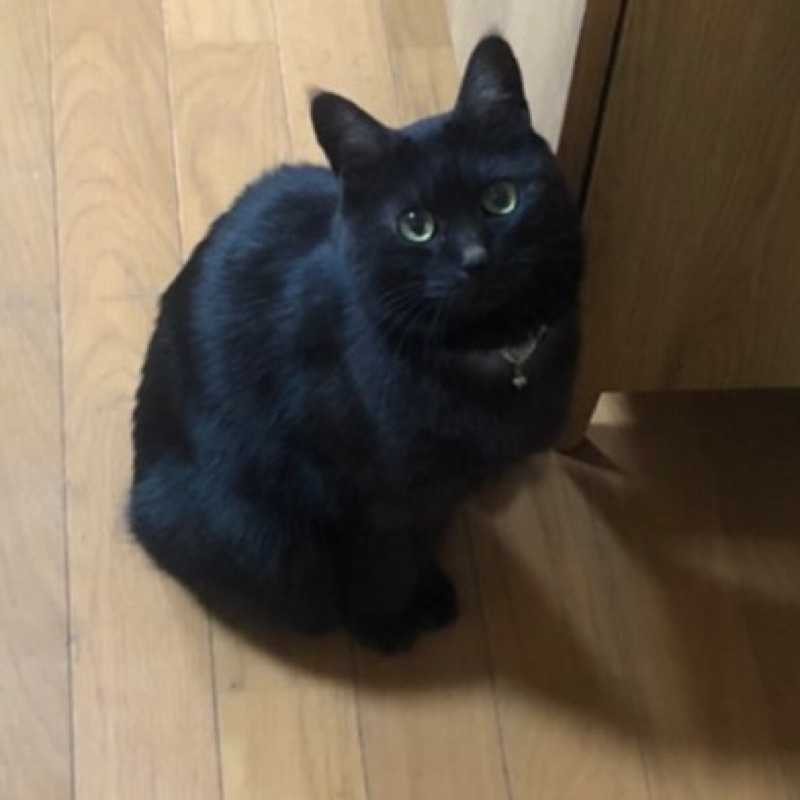 れお