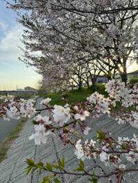 Takagi(出品者)