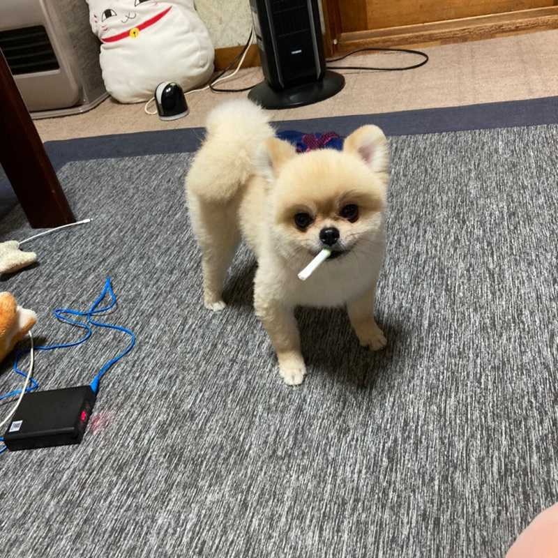 長谷川 弘一