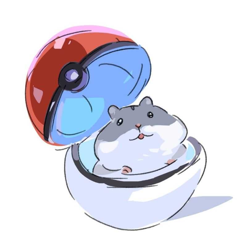 酌葉kumiha