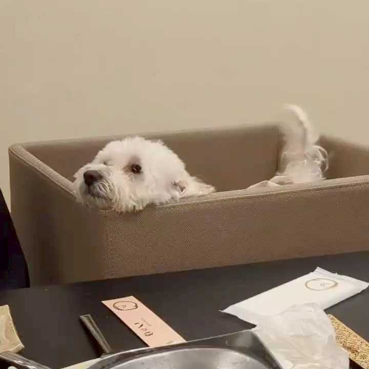 ハズキ