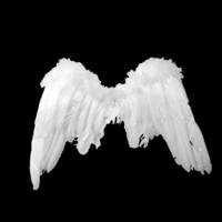 ユーザーアイコン