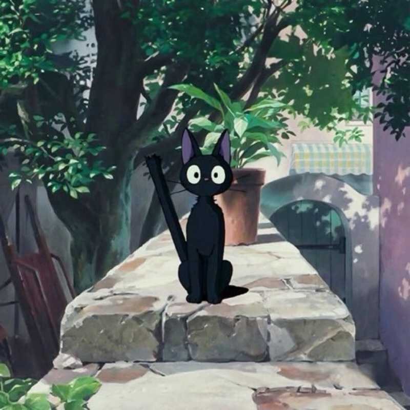 RIHITO