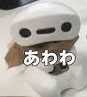 サキュイス(出品者)
