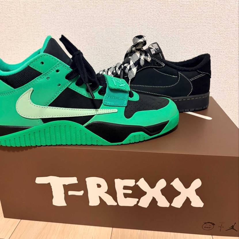 我が家にカメムシが仲間入り