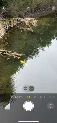 ボバサ