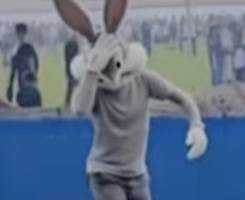 ポケ