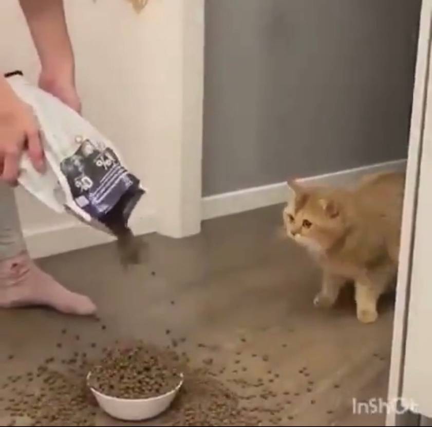 販路多すぎてマジで画像の状態
確実に当てたいけど複数もいらないな。。。
けど