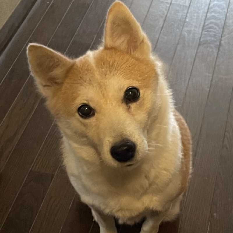 さっちゃん