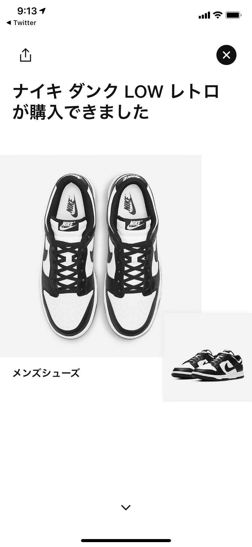 やっとダンク買えた！